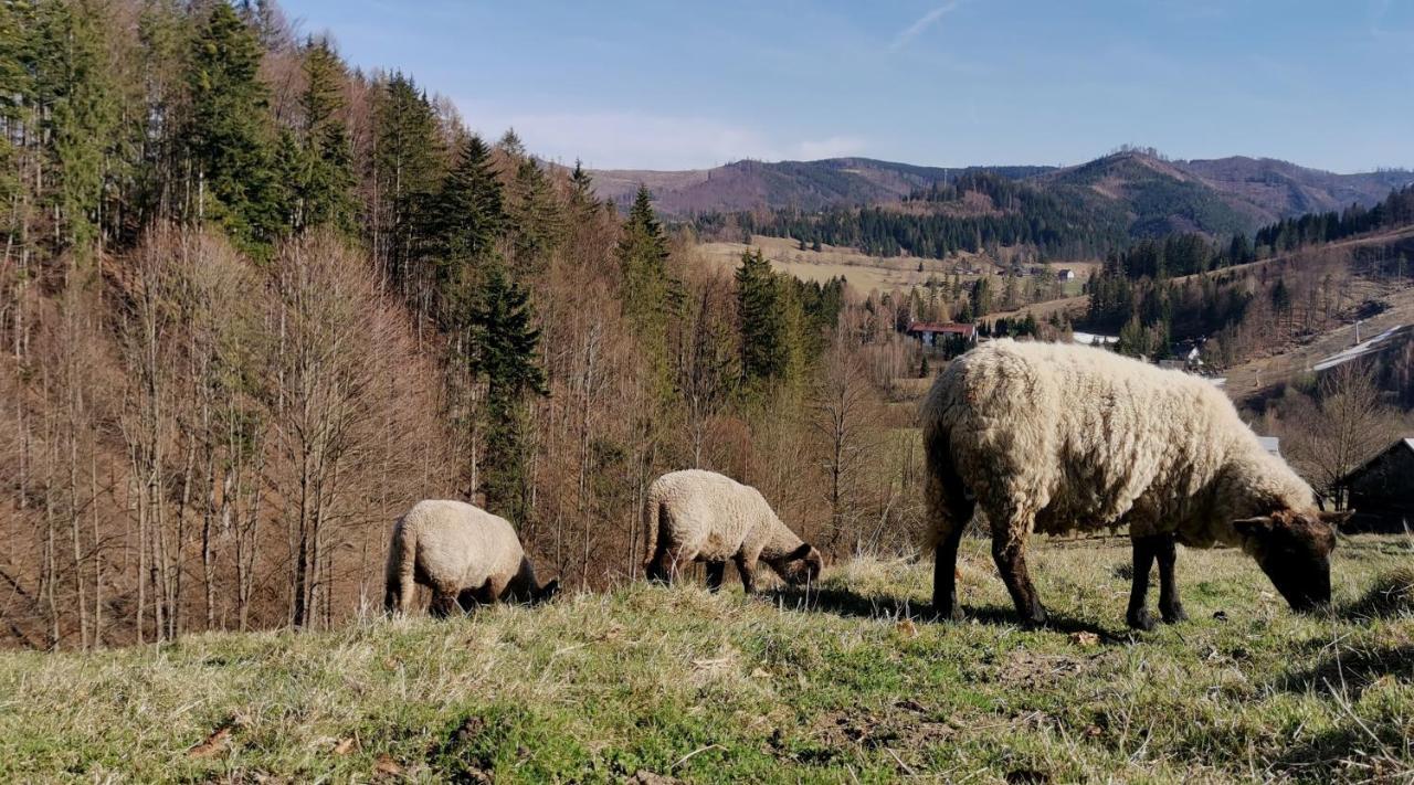 Penzion Rzehaczek Dolní Lomná Dış mekan fotoğraf