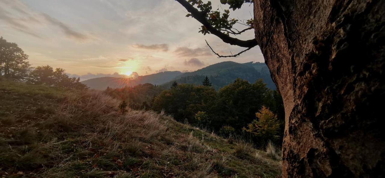 Penzion Rzehaczek Dolní Lomná Dış mekan fotoğraf