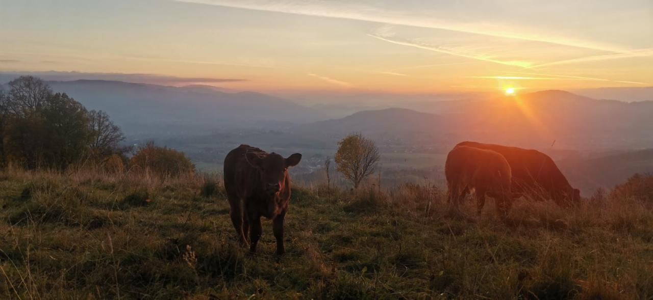 Penzion Rzehaczek Dolní Lomná Dış mekan fotoğraf