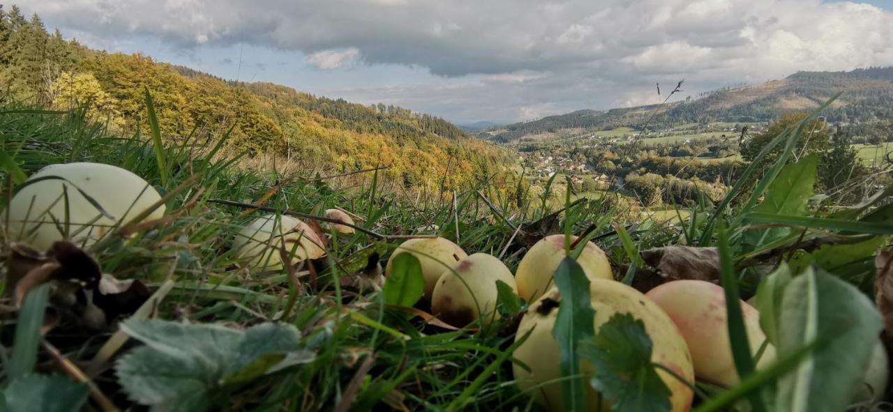 Penzion Rzehaczek Dolní Lomná Dış mekan fotoğraf