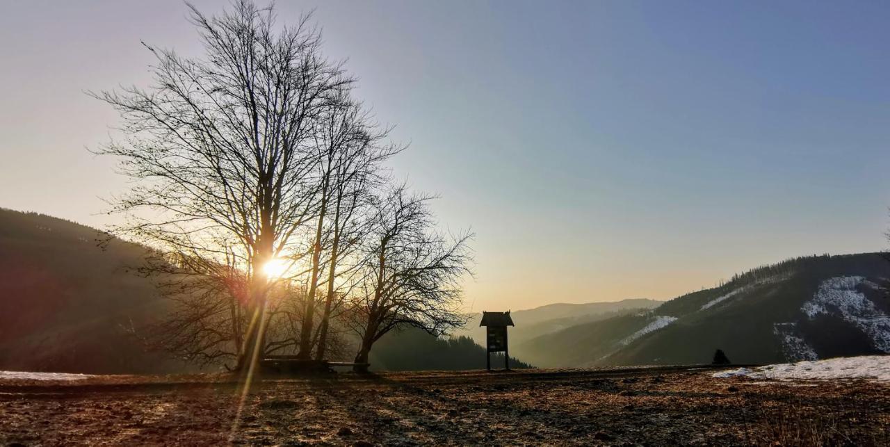 Penzion Rzehaczek Dolní Lomná Dış mekan fotoğraf