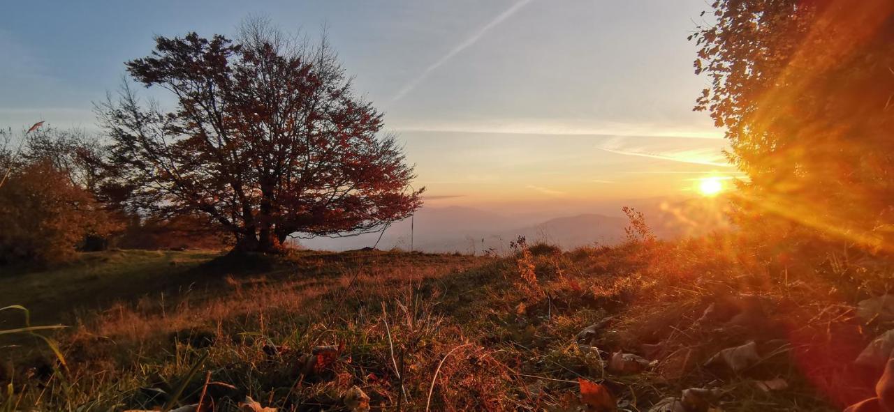 Penzion Rzehaczek Dolní Lomná Dış mekan fotoğraf
