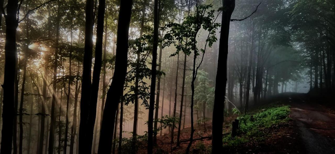 Penzion Rzehaczek Dolní Lomná Dış mekan fotoğraf