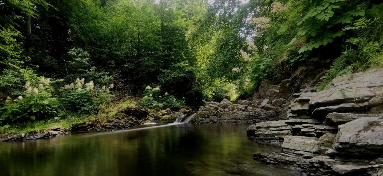 Penzion Rzehaczek Dolní Lomná Dış mekan fotoğraf