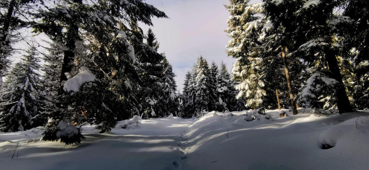 Penzion Rzehaczek Dolní Lomná Dış mekan fotoğraf