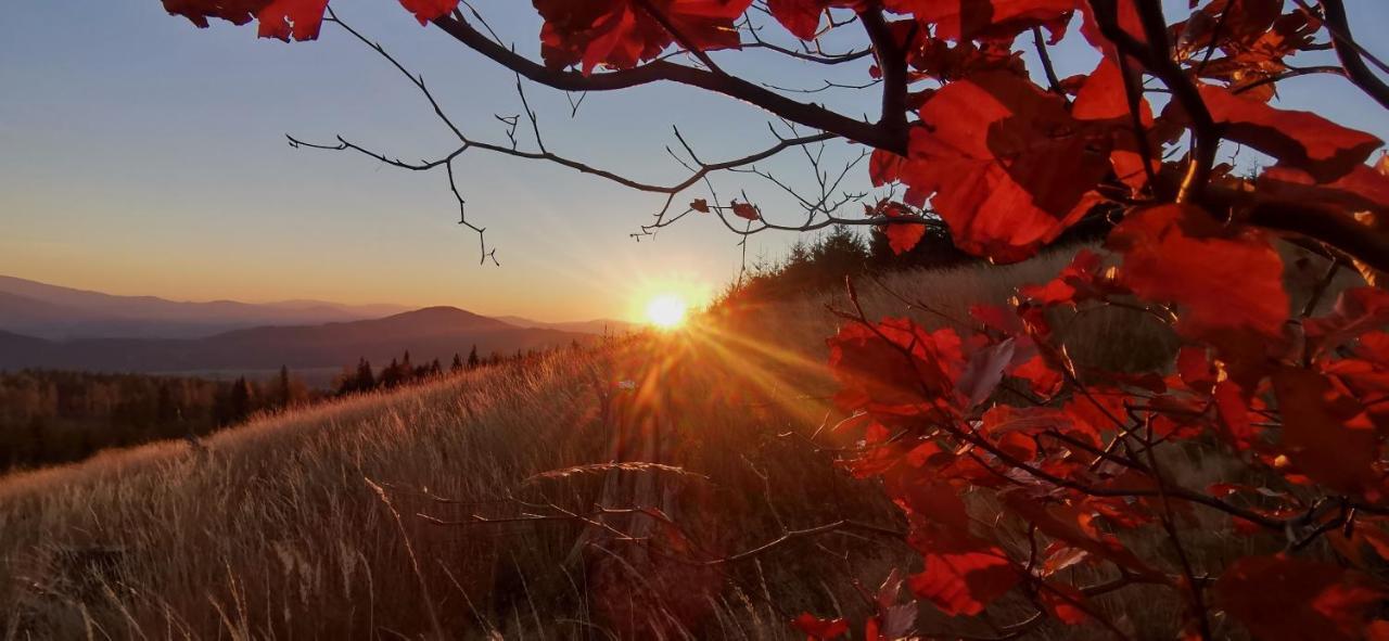 Penzion Rzehaczek Dolní Lomná Dış mekan fotoğraf