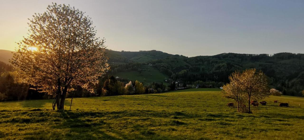 Penzion Rzehaczek Dolní Lomná Dış mekan fotoğraf
