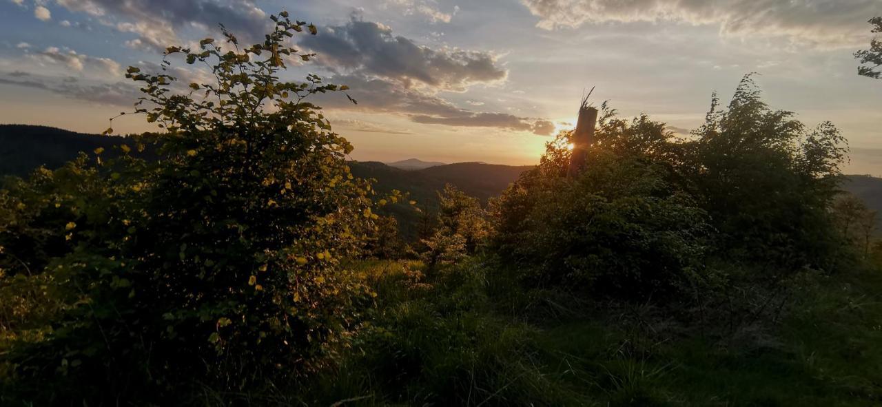 Penzion Rzehaczek Dolní Lomná Dış mekan fotoğraf
