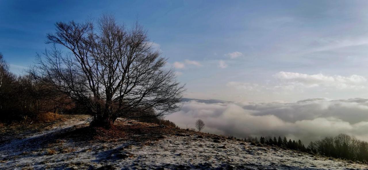 Penzion Rzehaczek Dolní Lomná Dış mekan fotoğraf