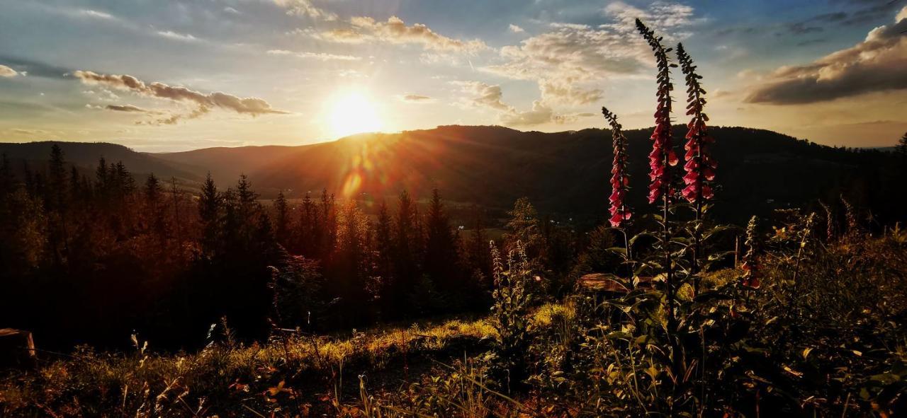 Penzion Rzehaczek Dolní Lomná Dış mekan fotoğraf
