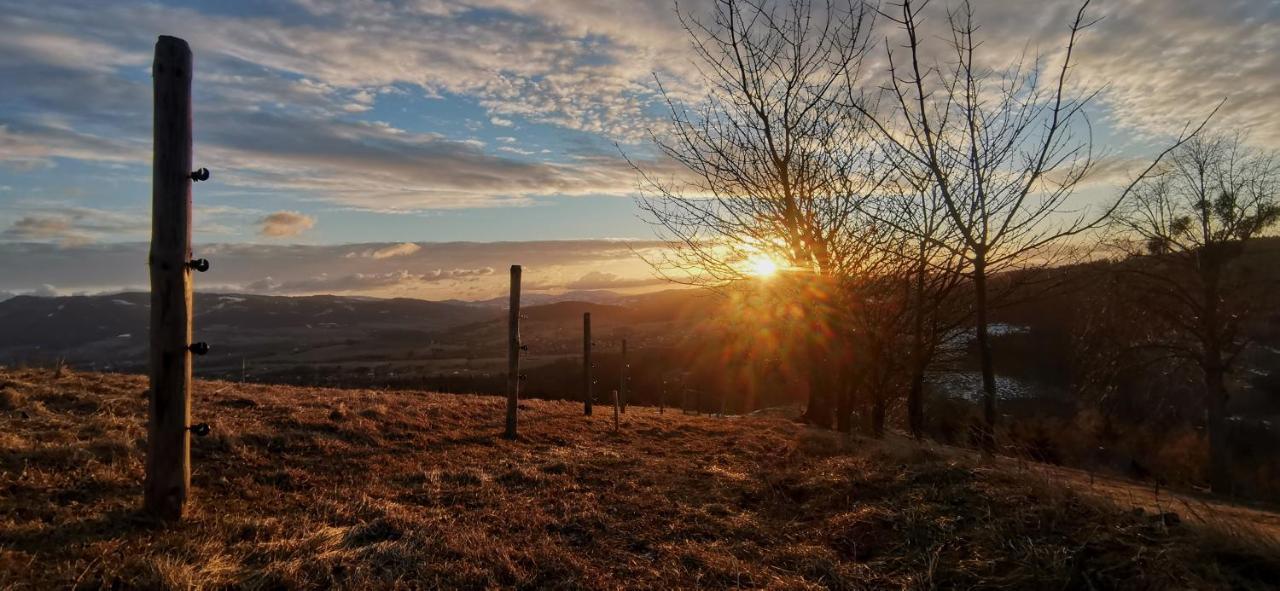 Penzion Rzehaczek Dolní Lomná Dış mekan fotoğraf